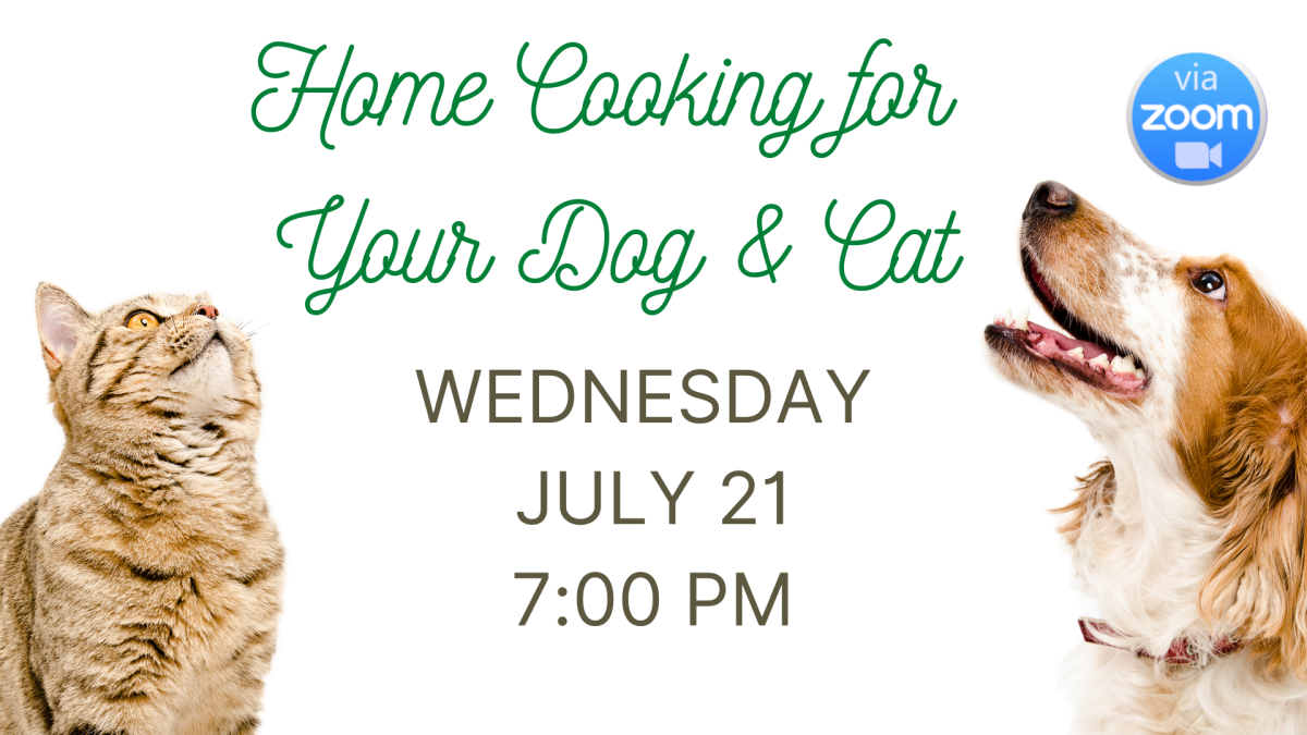 A cat on the left looking up and a dog on the right looking up.