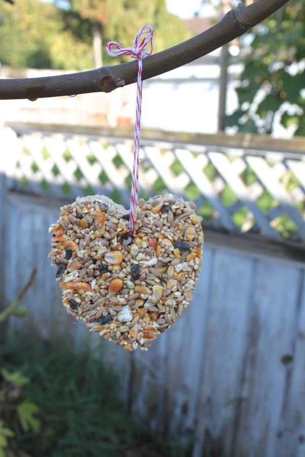 DIY Bird Feeder