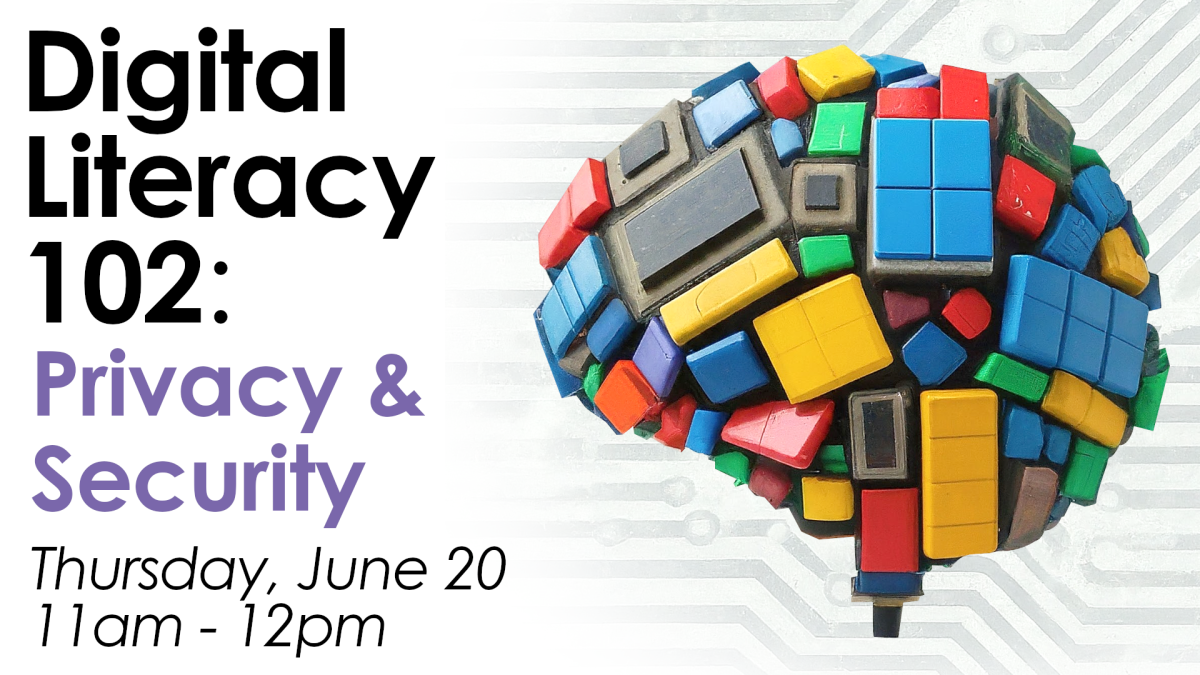 Digital Literacy 102: online privacy and security