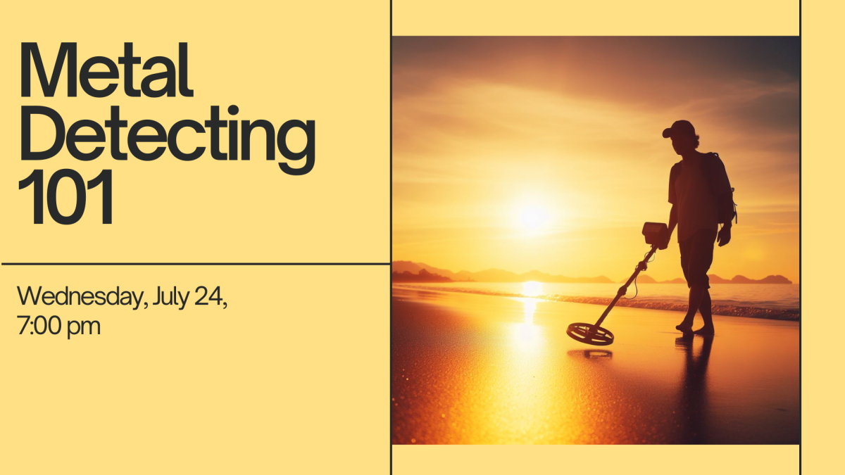 A person metal detecting at the beach