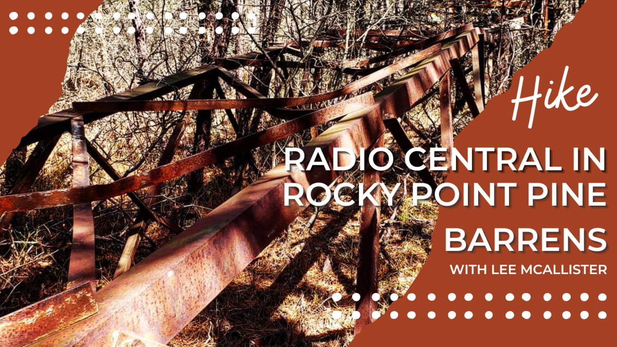 A fallen radio tower at the Rocky Point Pine Barrens
