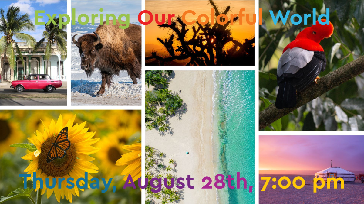 Colorful photos from travels all over the world.