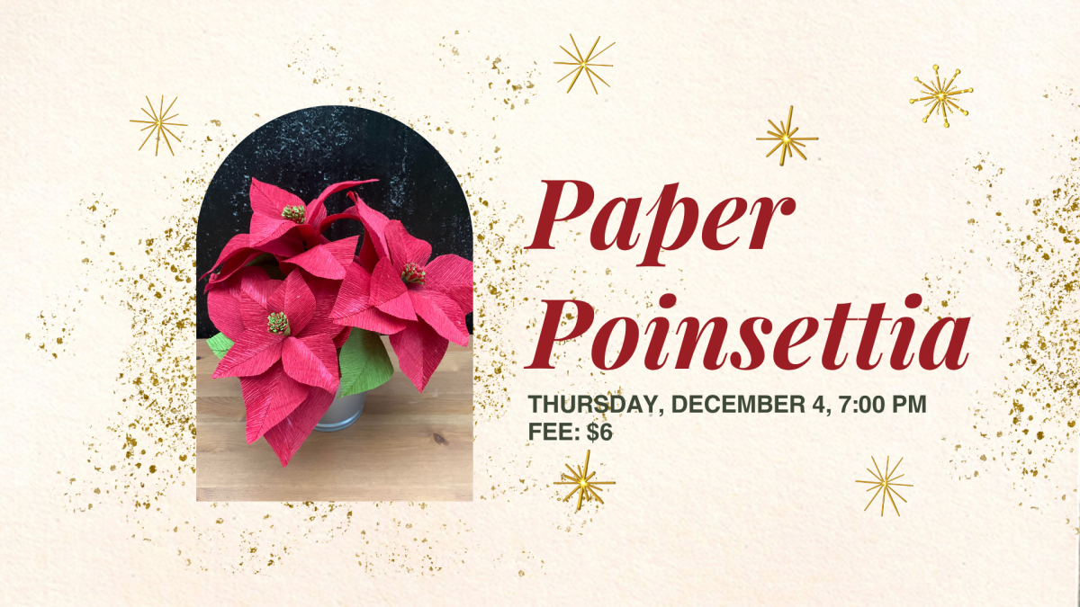 Poinstettias made of paper