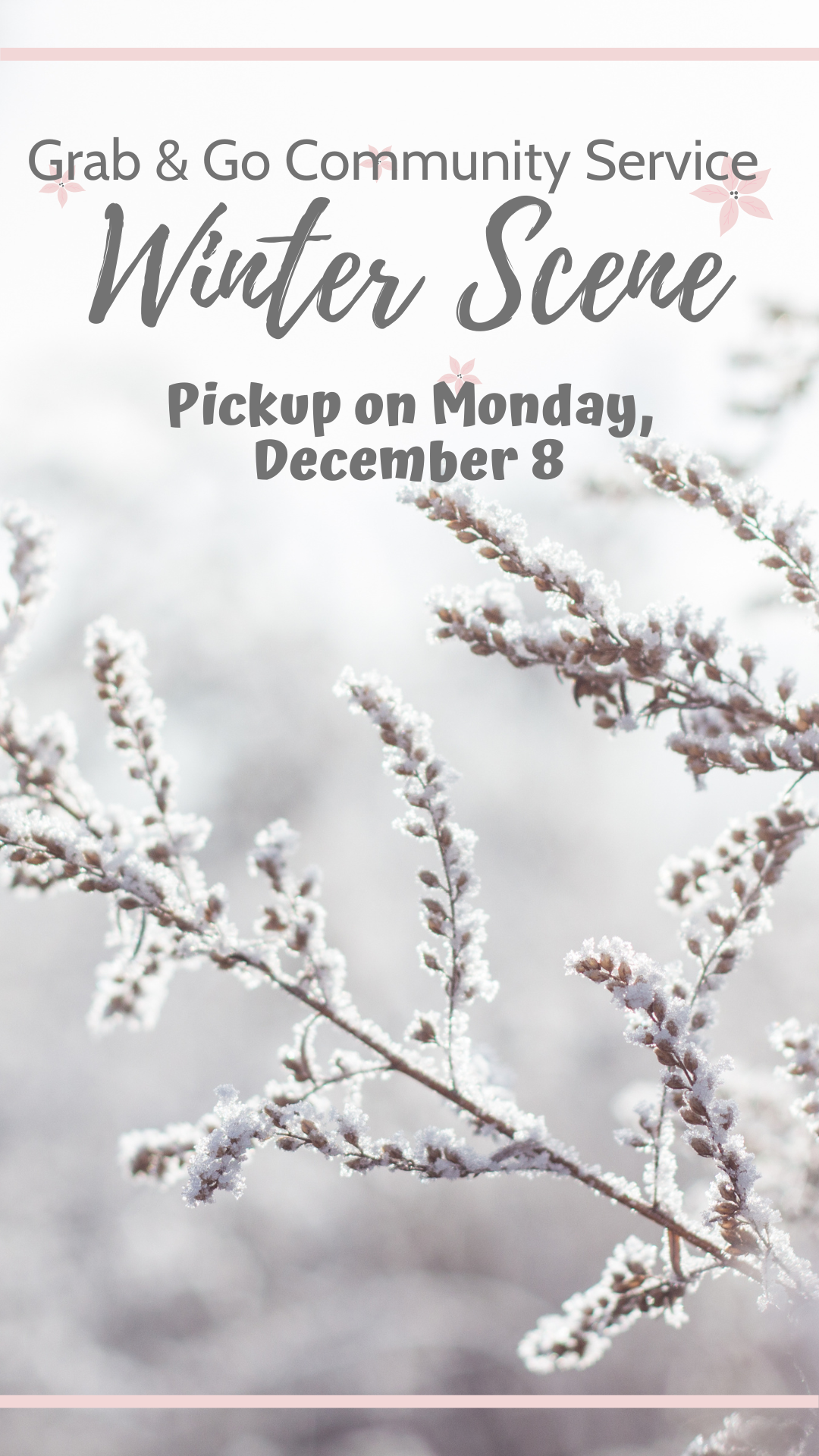 a winter scene with a close up of tree branches and program details