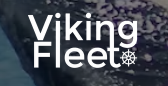 viking fleet